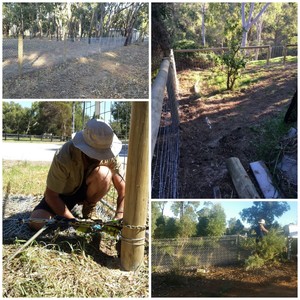 Hillside Property Maintenance WA Pic 5