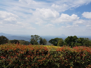 PDL Mowing Pic 4 - hedging with a view