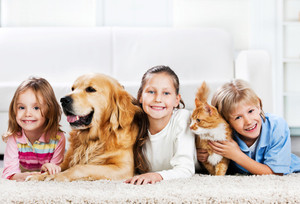 Carpet Cleaning Sydney Pic 4 - Pet odour removal