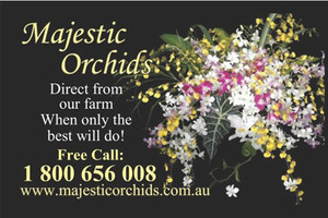 Majestic Orchids Pic 2