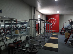 Spartans Gym & Supplements Pic 3 - Strength training with multiple racks and platforms