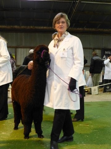 Surtierra Alpaca Stud Pic 1 - Glenda with Shadow at Ballarat