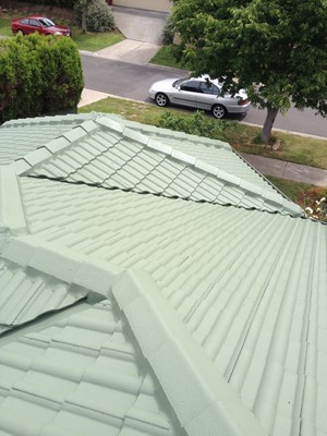 Nate's Roof Restorations Pic 5 - Meadow Hights Rivergum