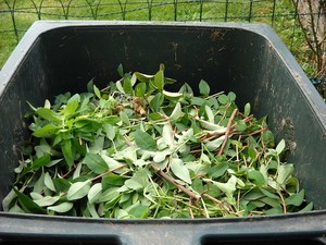 A Rescue Bin Hire Pic 4