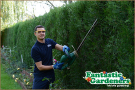 Fantastic Gardeners Sydney Pic 3