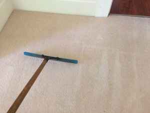 All Seasons Carpet & Upholstery Cleaning Pic 4