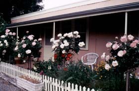 Rose Bud Accommodation At Gaia's Garden Pic 1 - Rose Cottage B and B at Gaias Garden Yankalilla Fleurieu Peninsula