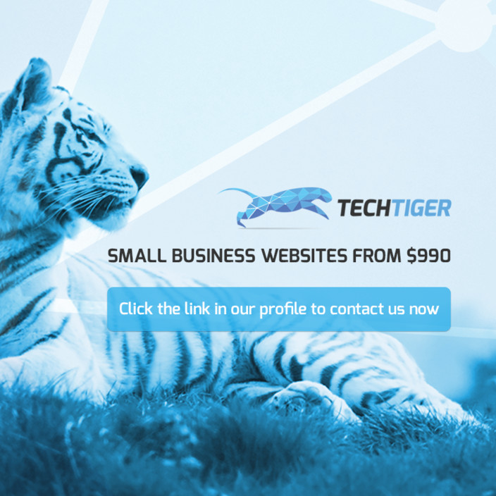 TechTiger Pic 1 - Does your small business need a new website Tech Tiger can help Websites from 990 Click the link in our profile to contact us now or visit httpswwwtechtigercomau