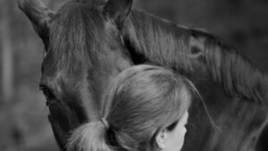 Westwood Adventures Pic 2 - Equine Partnered Reiki Adelaide Hills Horseriding Horsemanship Animal Communication Adelaide Learn Reiki