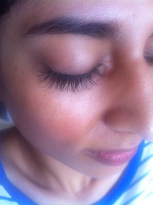 Palais de Lashes Pic 3