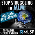 Magnetic Lead Marketing Pic 1 - Stop struggling in MLM now