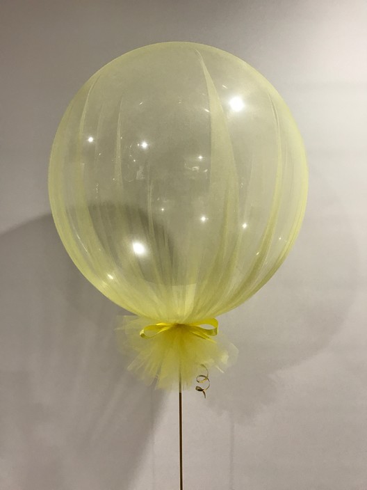 Balloon Brilliance Pic 1