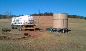 Don's Water Supply Pty Ltd Trading as Water Force WA Pic 4 - Temporary Troughs and Water StorageTanks for livestock