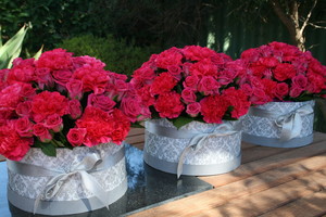 Creative Blooms - Perth Florist Pic 4