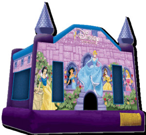 Aaron's Amusements- Jumping Castle Hire Pic 4 - Disney Princess Jumping Castle