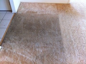 Adam's Carpet Cleaning Pic 3 - Carpet Cleaning Before and After