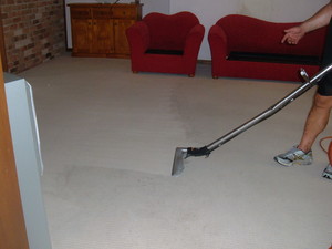 Aussie Blue Carpet and Upholstery Cleaning Pic 4