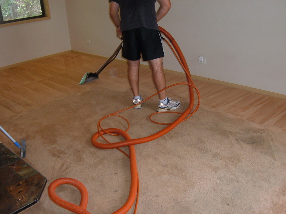 Aussie Blue Carpet and Upholstery Cleaning Pic 1