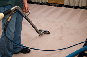 The Fussy Mop Pic 4 - We steam clean carpets like no one else