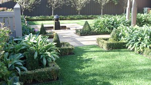 Grass Solutions Pty Ltd Pic 4