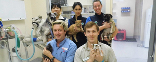 Our Vet Underwood Pic 1 - Back row LR Dr Erina Imai Cassie Karipa Sarah Bassett Front row LR Graham Hulse Dr Lyam Graham