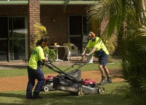 Virtue Tree Services & Mowing Pic 2