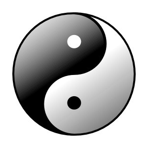 Vitality Reconnected Pic 4 - We teach to balance the two forces in life yin and yang