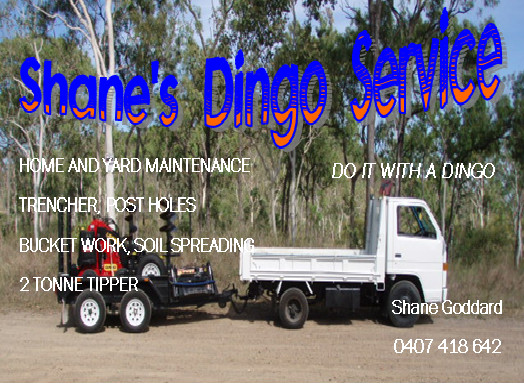 Shane's Dingo Service Pic 1