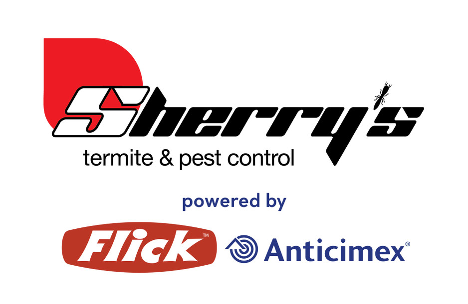 Sherry's Termite and Pest Control - Brisbane Pic 2