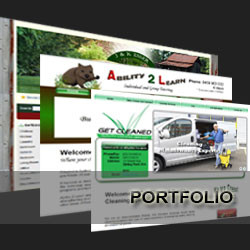 Australian Website Solutions Pic 1 - Website Designing Professional websites designed by Australian website Solutions