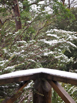 Peppers Cradle Mountain Lodge Pic 2 - Snow