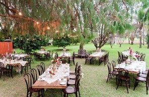 Elegant Chair Events Pic 2 - Elegant Chair Events Lovely Bentwood Chairs