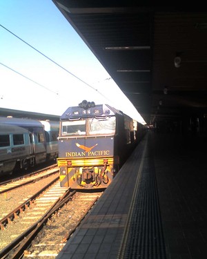 Great Southern Rail Pic 3 - The mighty Indian Pacific PerthAdelaideSydney