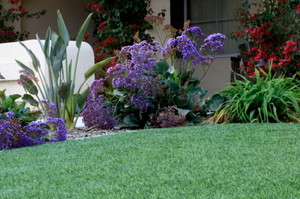 Perth Turf Pic 3 - Fake Grass Perth