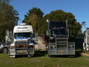 Bush's Transport Pic 3