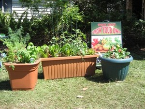 thevegepatchman Pic 2 - grow your ownvegetables