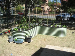 thevegepatchman Pic 5 - raised garden beds