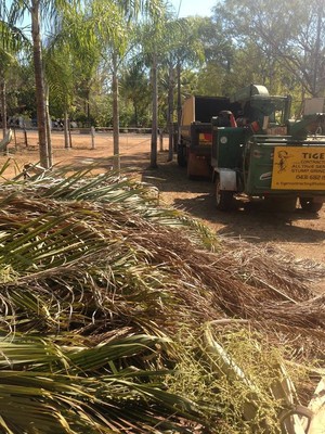 Tiger Contracting Pic 2 - Garden and block clean up