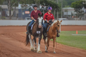 Gatton Heavy Horses Pic 2