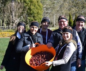 THRILL team building events Pic 2 - Thrill Grape Stomping Wine Making Team Activities