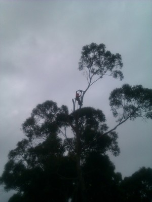 Southern Tas Climbers Pic 4