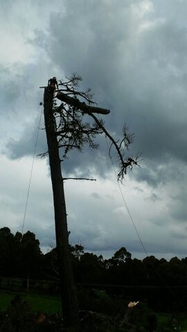 Southern Tas Climbers Pic 3