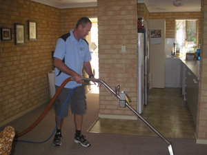 Budget Carpet Cleaning Pic 3