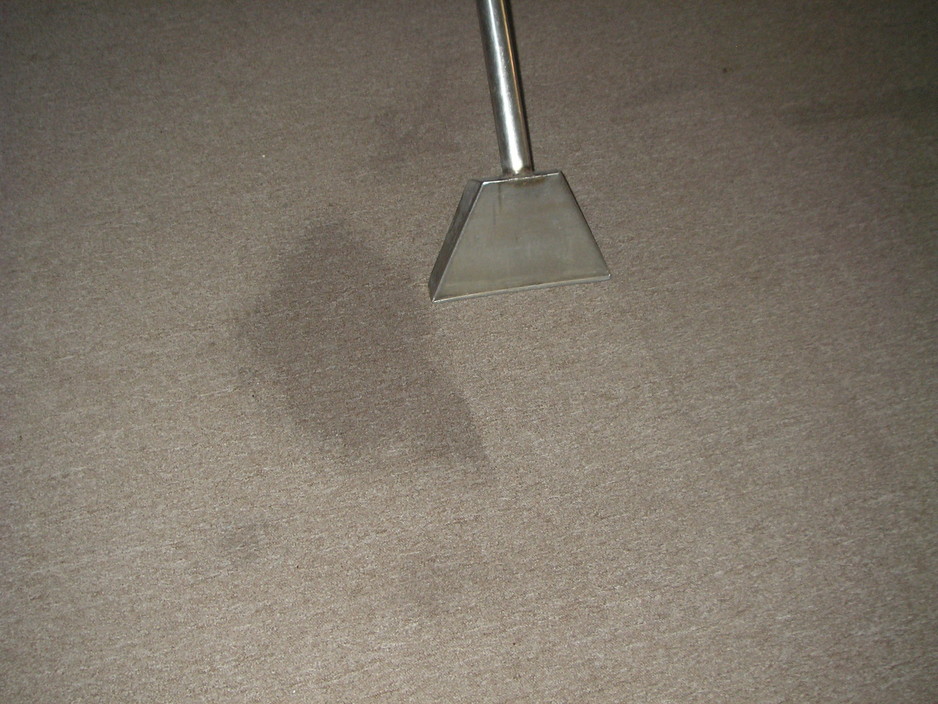 Budget Carpet Cleaning Pic 1