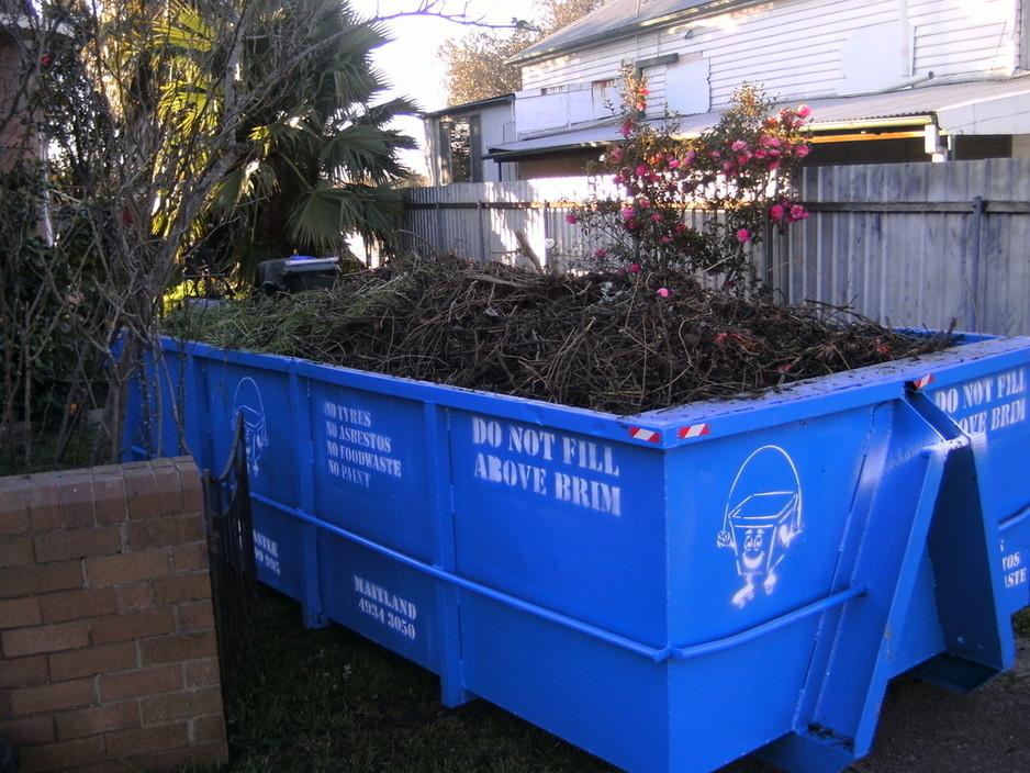 Les & Oscar's House Yard & Garden Pic 2 - Dumpster filled stomped down with vines which covered much of a property inc over trees