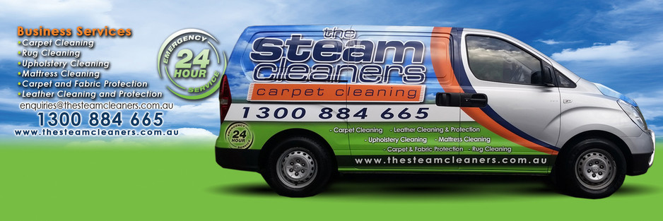 The Steam Cleaners Pic 2