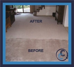 Capital Steam Cleaners Pic 4 - Carpet Cleaning