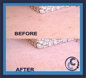 Capital Steam Cleaners Pic 3 - Carpet Cleaning