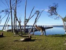 Waterfront Retreat At Wattle Point Pic 1 - Waterfront Retreat