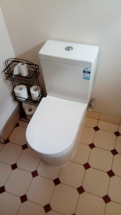 Collis & Co Plumbing Pic 1 - We Replace old toilets